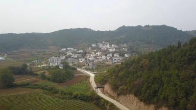 杨溪铺镇罗沟村：发展壮大集体经济 打造强村富民样板