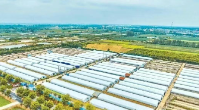 开局起步！看千亿之城仙桃的新年新气象