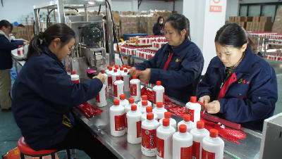 奋力夺取一季度“开门红”｜郧阳区大柳乡：新春酒飘香 企业生产忙