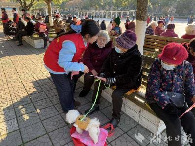 郧阳区城关镇北门社区“三维发力” 推进文明养犬工作