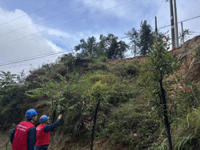 国网郧县供电公司：“双优四零”为引领 “八必访”促服务提升