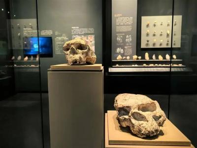 新发现！“郧县人”是东亚最早的直立人