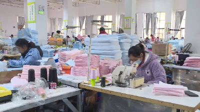 奋力夺取一季度“开门红”｜郧阳区胡家营镇：铆足干劲赶订单 三业联动稳就业