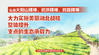 “弘扬三大精神 奋力建成支点”海报（七）