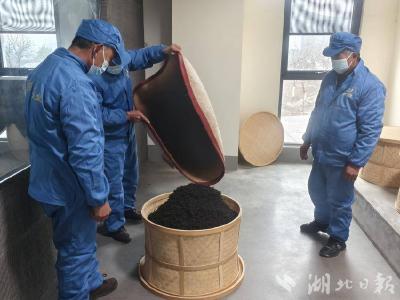 郧阳区谭家湾镇：非遗技艺助力秋茶新生 政府搭台实现企农双赢