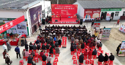 郧阳区青山镇年货大集暨乡村振兴工作交流会热闹启幕