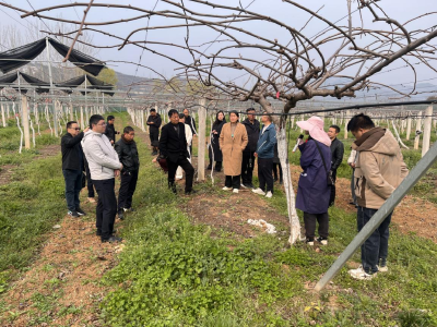 郧阳区开展春季农业科技实地培训
