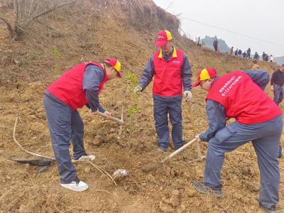 国网郧县供电公司：植绿护电守生态电力添绿美郧阳