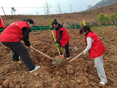 郧阳区残联：春风添新绿 志愿服务显担当