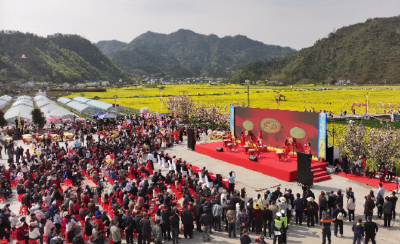 2026年郧阳区五峰乡油菜花赏游活动启幕