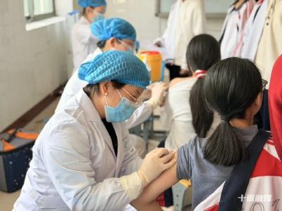 供应充足、免费接种！十堰多地已启动