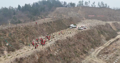 郧阳区：义务植树添新绿 初心践行护生态