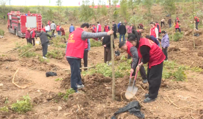 郧阳区安阳镇开展义务植树活动