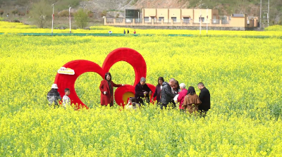 十堰郧阳：三月鎏金满田埂 油菜花开春色美