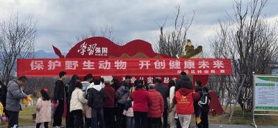 郧阳区林业局开展“保护野生动植物 开创健康未来”主题宣传活动