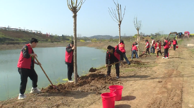 市委直属机关工委等部门在郧阳区开展“植绿护水 我们都是守井人”植树活动