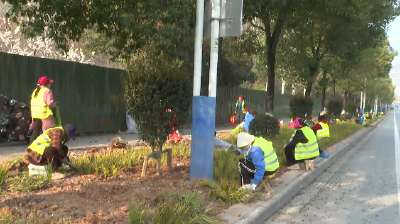 久久为功建设滨江花园城｜十堰大道焕新颜 生态廊道惠民生