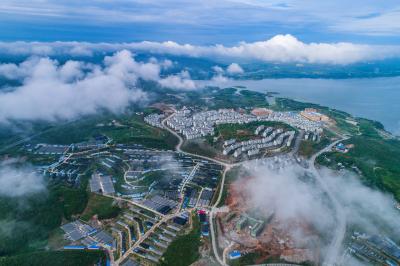 郧阳区杨溪铺镇特色富民产业亮点纷呈