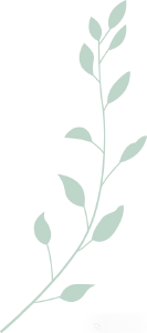 “童享书悦 红色经典我家读”| 郧阳区妇联亲子阅读活动招募啦！