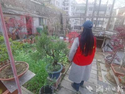 郧阳区城关镇中岭社区：多措并举推进禁种铲毒工作