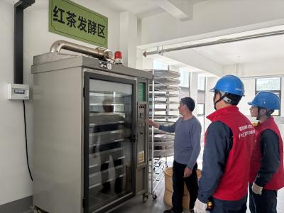 国网郧县供电公司谭家湾供电所：电力护航  春茶飘香