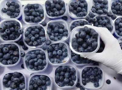 连吃两天确诊胃石症，这种水果不能多吃→