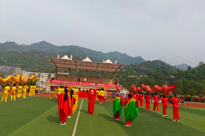 郧阳区中小学足球联赛江南片预赛在鲍峡镇中心小学开幕