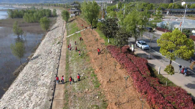郧阳区柳陂镇：党建引领守护一泓碧水永续北上