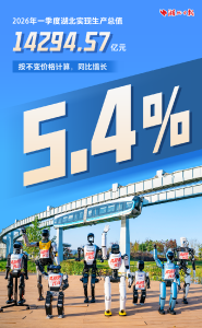 湖北刚刚公布：14294.57亿元！