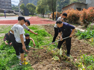 郧阳区鲍峡镇东河小学：根植乡土沃土 劳动滋养童心