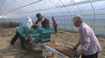 郧阳区白桑关镇：智能育秧 + 全链托管 现代农业跑出 “春耕加速度”