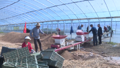 郧阳区农业机械服务中心：党建引领促春耕 机械育秧助丰收