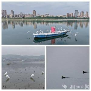 湖北郧阳：野生动物达595种