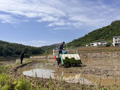 郧阳区农业机械服务中心：送技下乡 护航粮食丰产