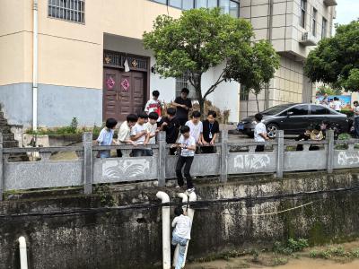 郧阳区刘洞镇：学生放学路上合力救被困小猫 
