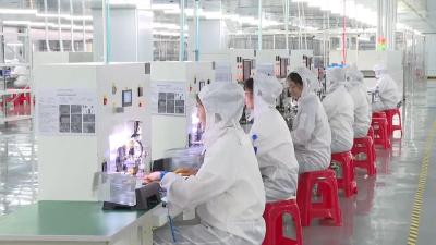 奋力建设滨江绿色发展先行区｜牧轩电子：产线升级释放新动能 全力奋战“双过半”