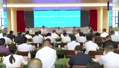全市木本油料产业发展推进会在郧阳区召开