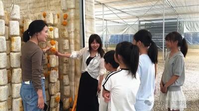 奋力建设滨江绿色发展先行区｜坤田农业：立体种植提产能 三产融合促振兴