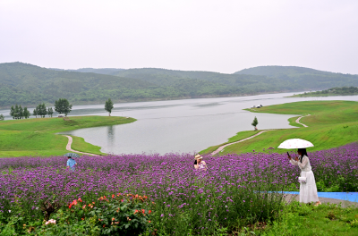 郧阳：汉江初夏景如画