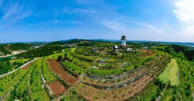 郧阳区委书记梅华：加快建设滨江绿色发展先行区