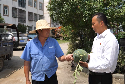 党旗飘扬践初心丨习玉林：深耕西瓜特色产业 激活乡村振兴动能