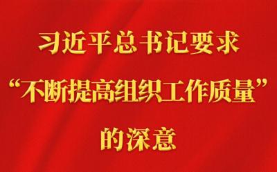 第一观察丨习近平总书记要求“不断提高组织工作质量”的深意