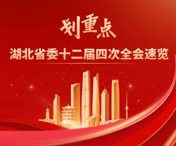 划重点！湖北省委十二届四次全会速览