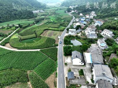 建设“四好农村路” 铺就乡村振兴快车道