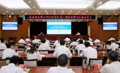 区委理论学习中心组（扩大）举行2024年第12次集体学习