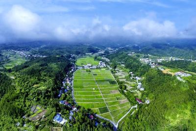 【组图】处处有风光 村村皆美景