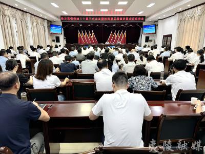 学习贯彻党的二十届三中全会精神夷陵区委宣讲团龙泉报告会举行