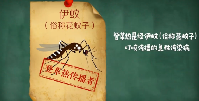 预防登革热小知识