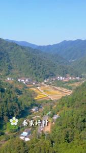 你好， 夷陵！秦家坪村！