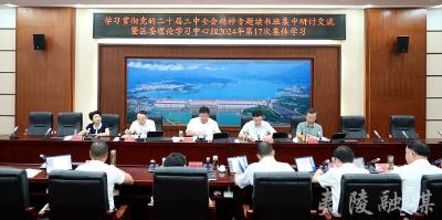 区委理论学习中心组开展2024年第17次集体学习